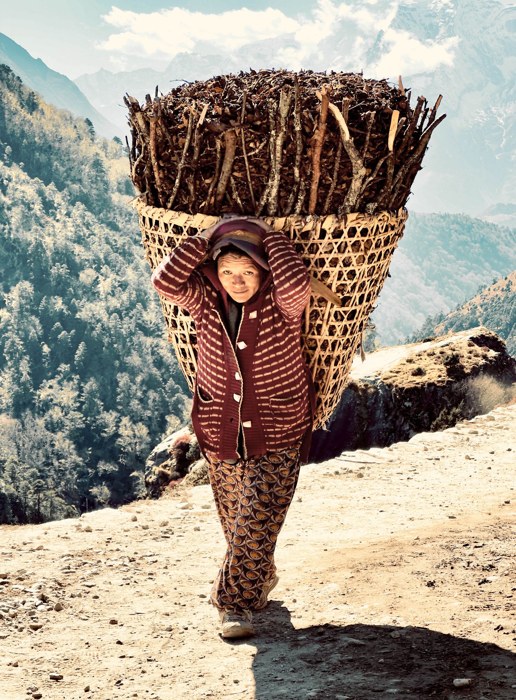 Woman with Basket of Sticks